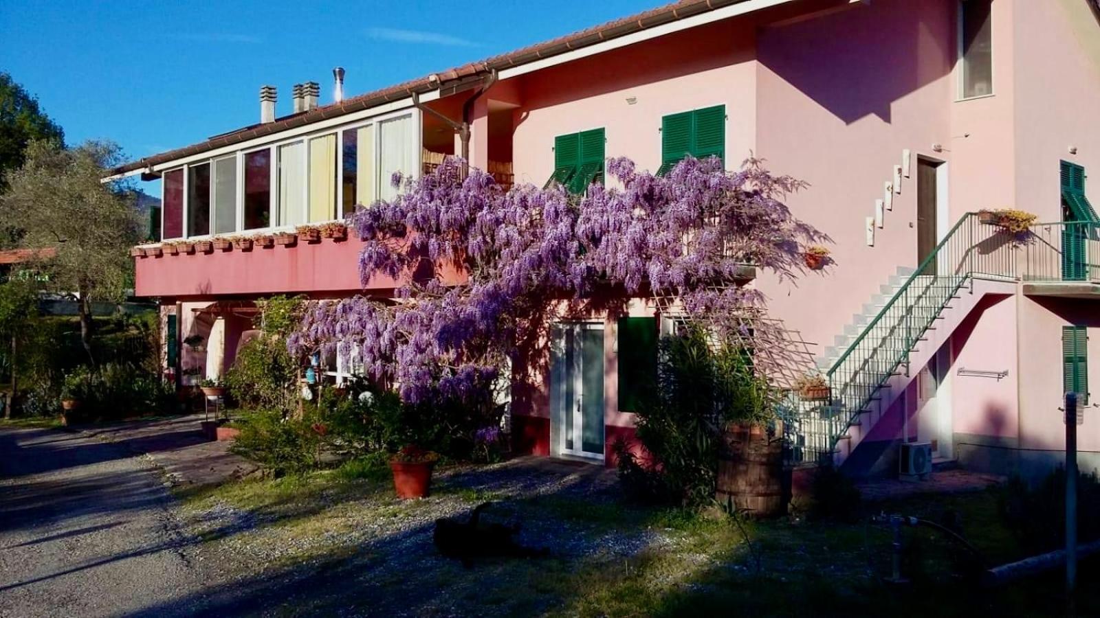 Hotel La Casa Rosa Borghetto di Vara Zewnętrze zdjęcie